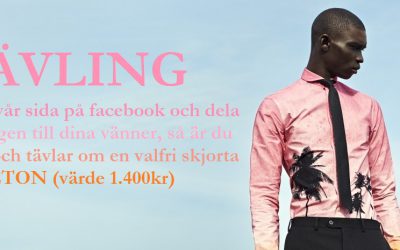 ETON-tävling